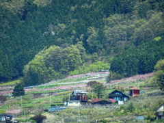 桃源郷をご一緒に　駅から