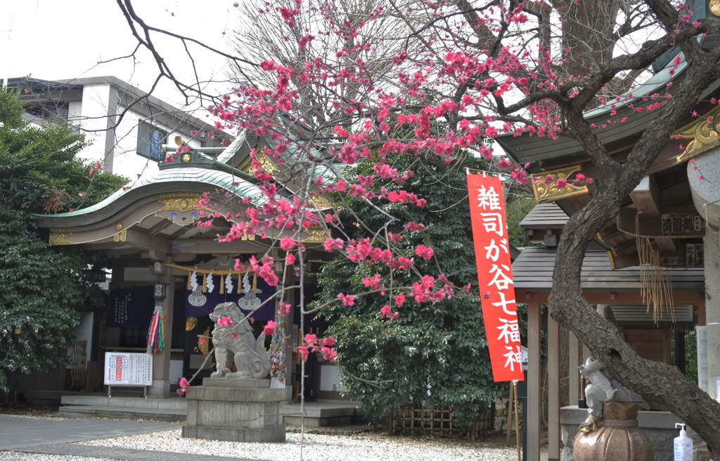 都電に乗って～雑司ヶ谷七福神