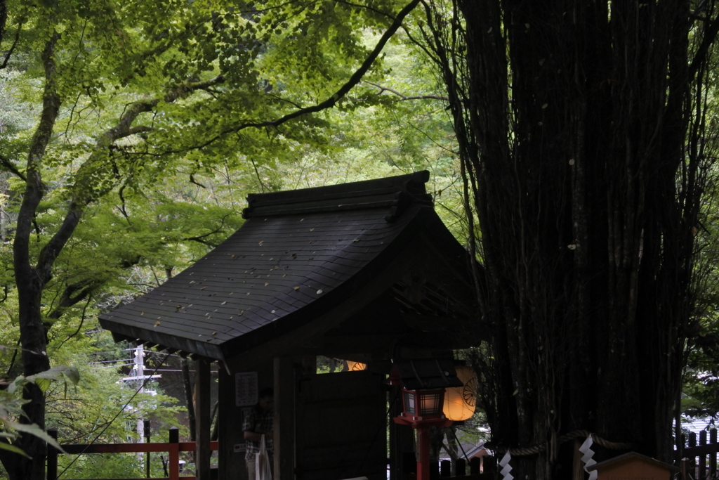 貴船神社　提灯が燈る