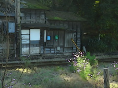 アニメ　上総中野駅物語～線路際の家