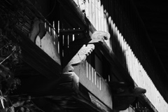 宿場町の薄れゆく記憶