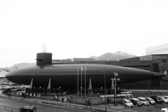 上から見たてつのくじら館