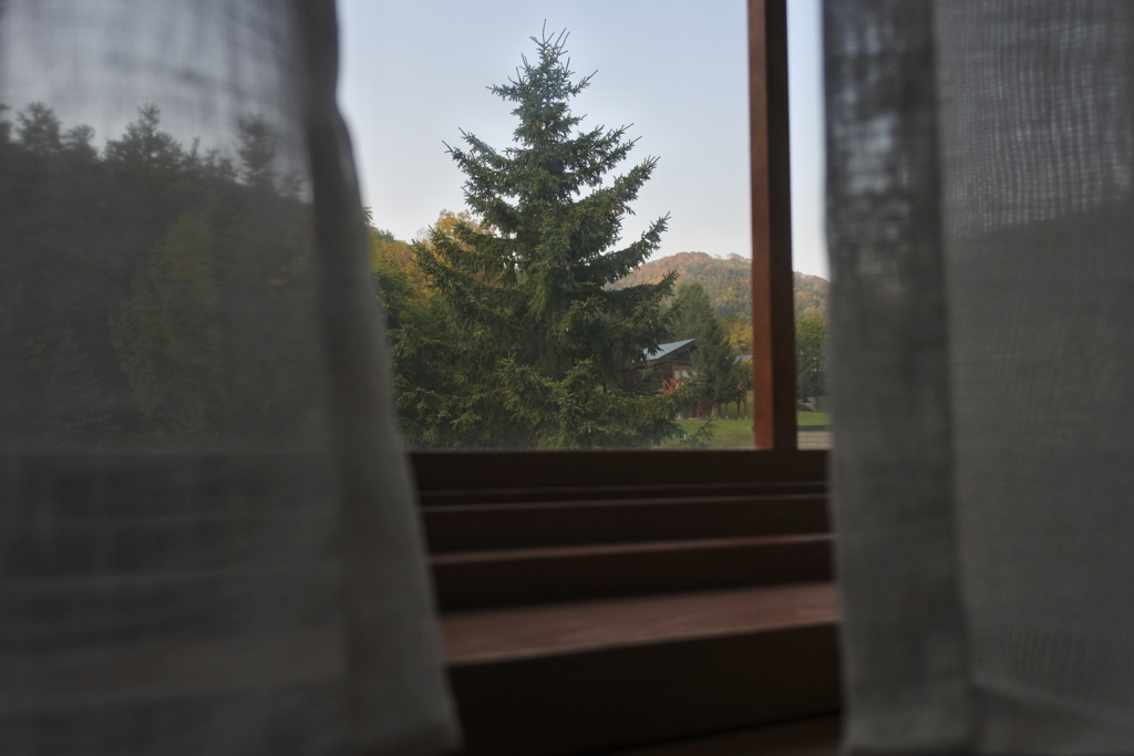 あの木に雪が降ったら