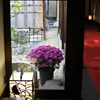 旅の宿　松本Ⅲ