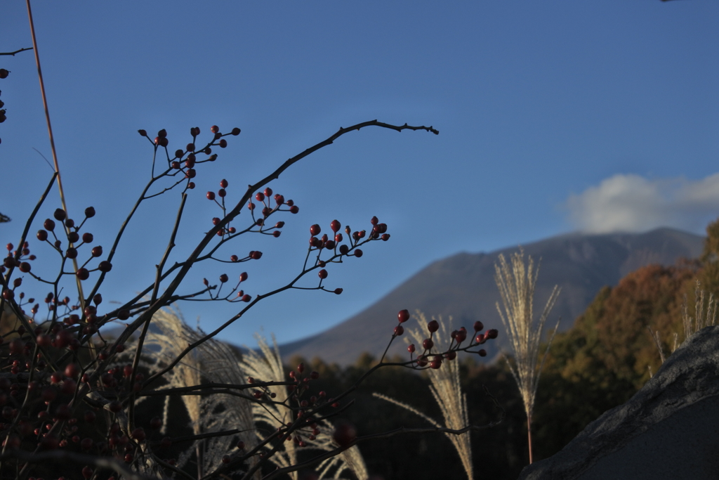 秋の草木と浅間と青空と