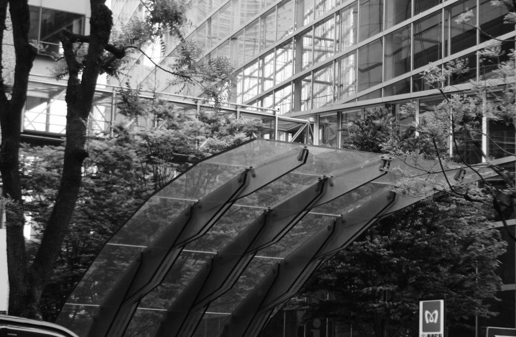 地下に潜るより翼で大空を