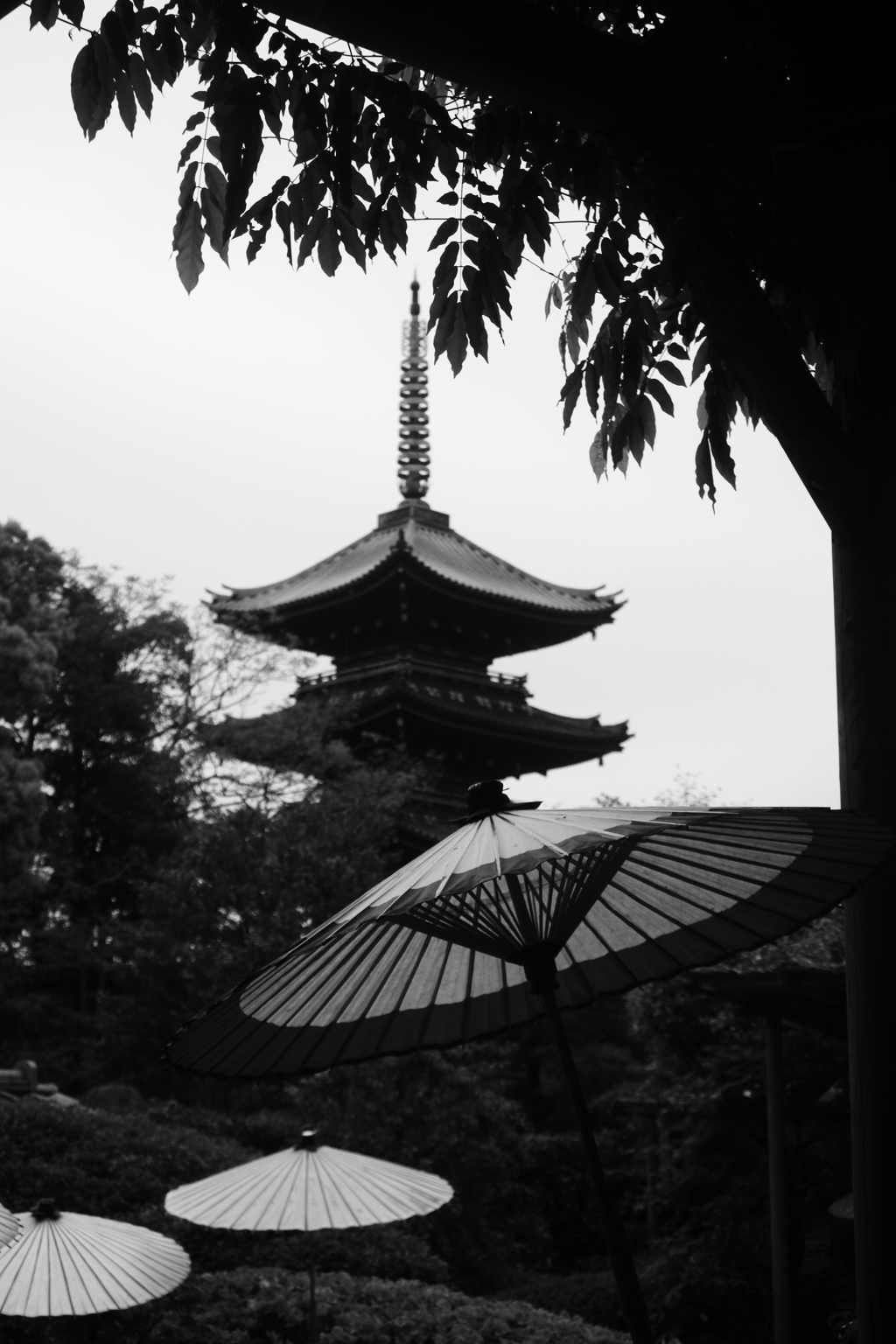上野東照宮　ぼたん苑から