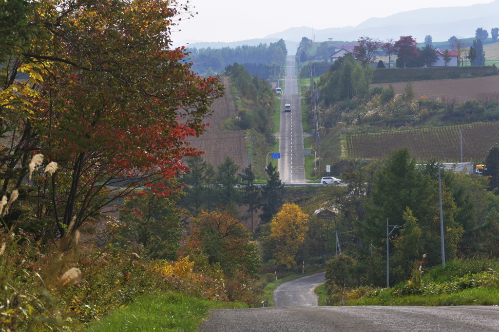 かみふらの八景