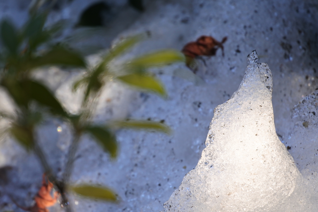 残り雪