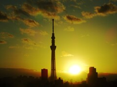 眩しい！