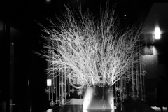 ロビーの装飾　全体　参考までに