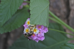 雨が止んだのに