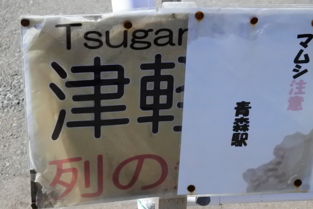 何気にマムシ注意