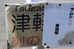 何気にマムシ注意