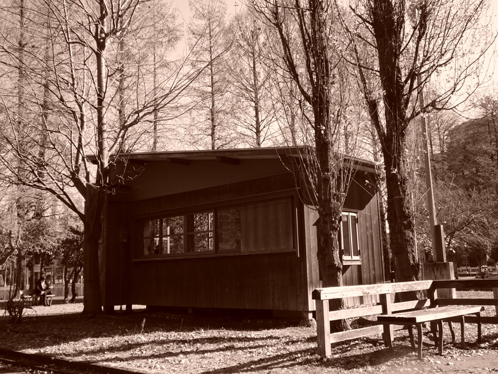 ヒヤシンスハウスのベンチ