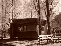 ヒヤシンスハウスのベンチ