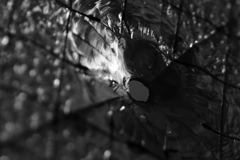 穴の開いた硝子