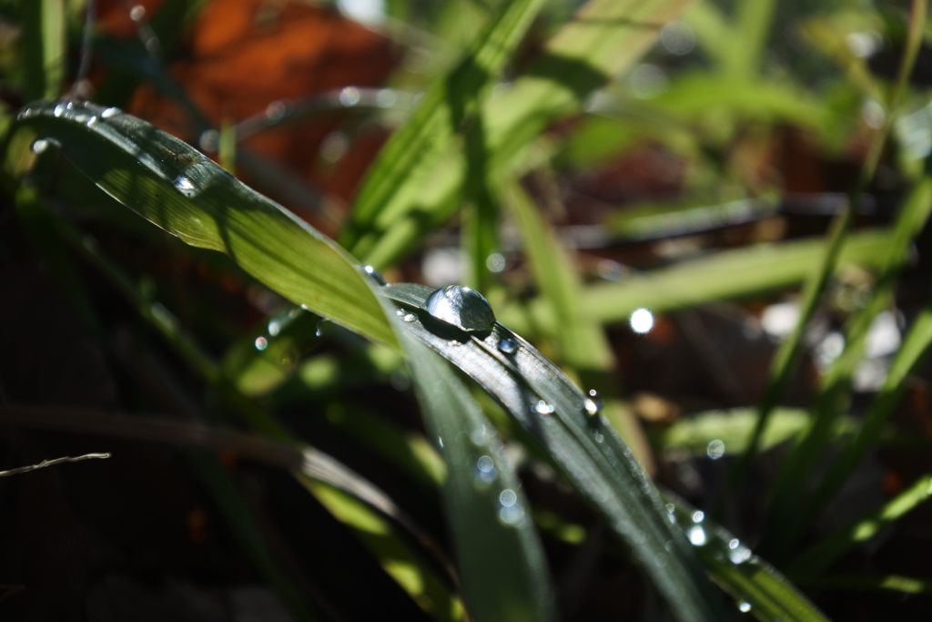 雨上がり