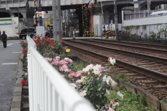 京成電車を待ちながら