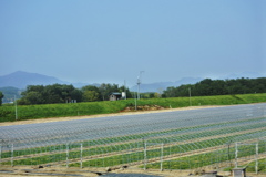 ビニールハウス