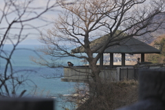 親不知子不知の東屋