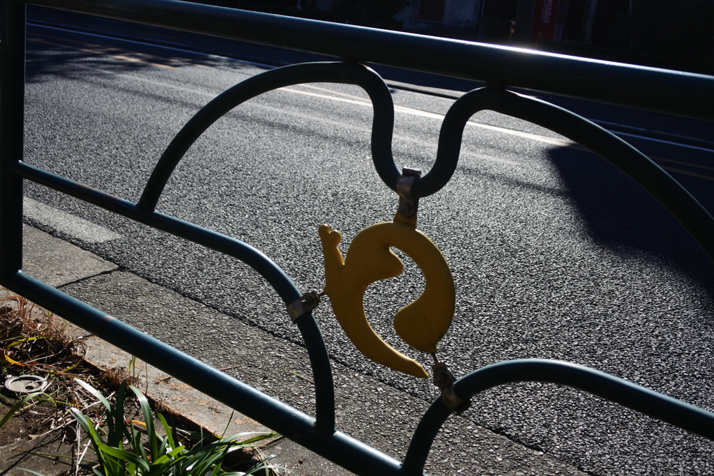 道路沿いのカタツムリ