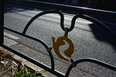 道路沿いのカタツムリ