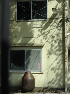 桜の影と甕