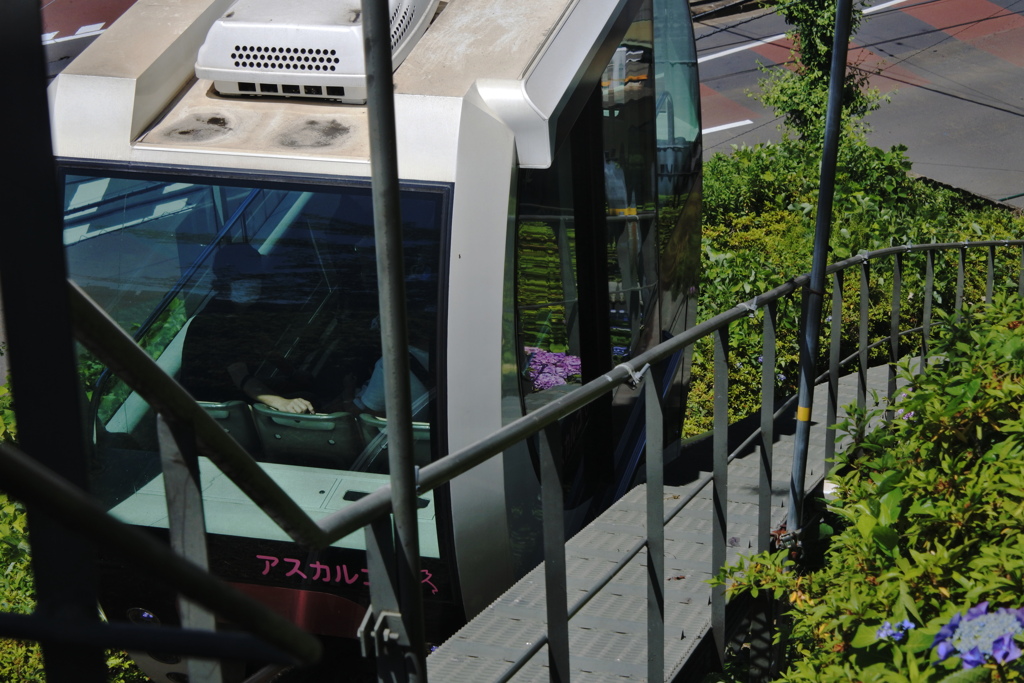 アスカルゴに乗って