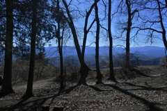 宝登山山頂から