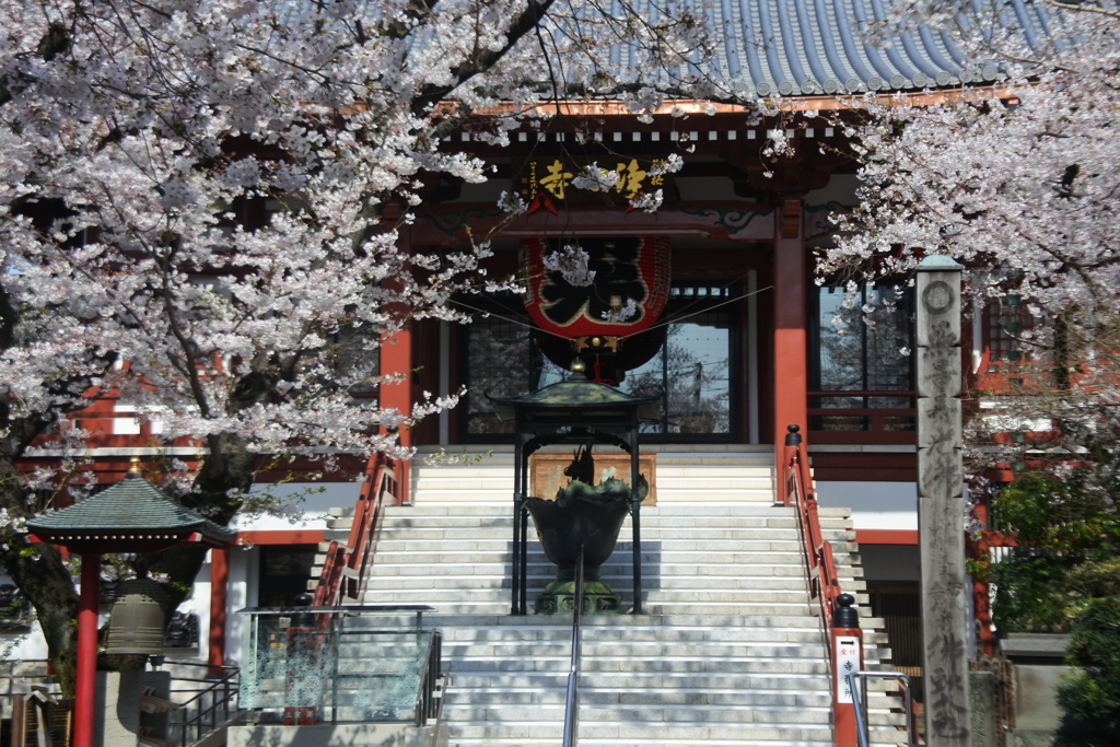 ドラゴンのいる寺