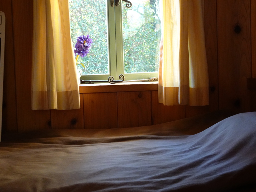 ヒヤシンスハウス～ベットと窓