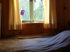 ヒヤシンスハウス～ベットと窓