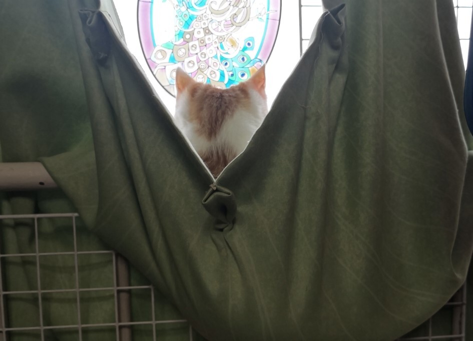 カーテンのハンモック