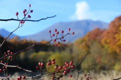 信濃追分駅から