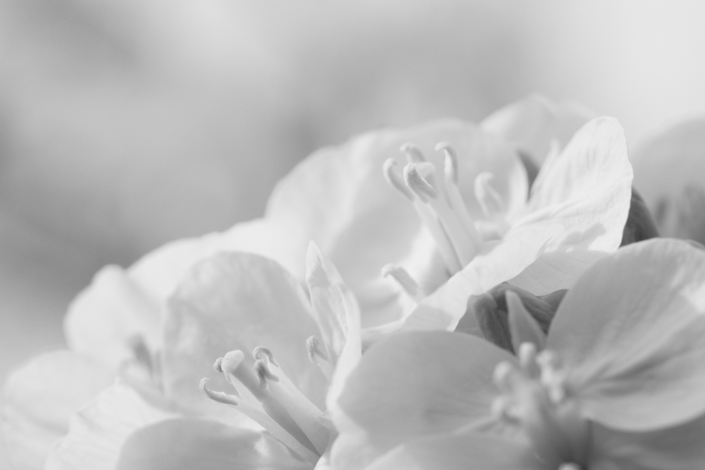 心地よい風に吹かれて