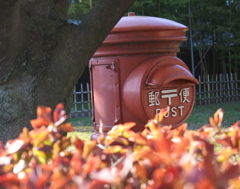憧れの・・・木陰から