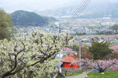 滝本院に到着
