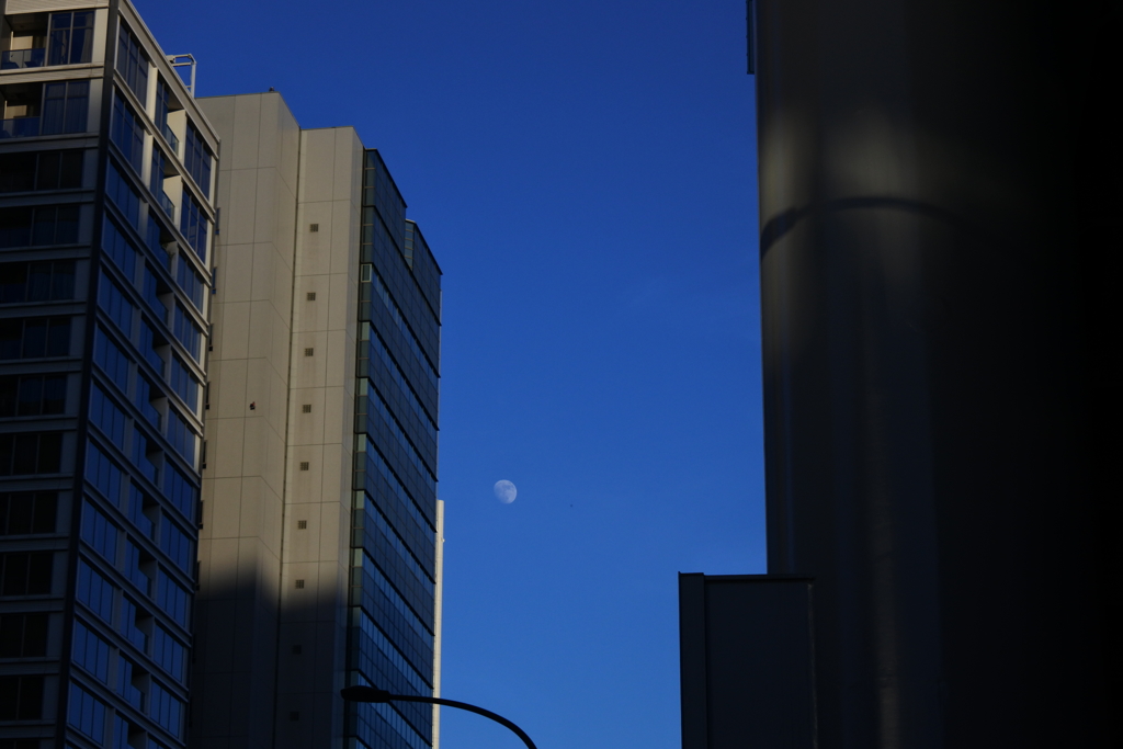 東京散歩　高架下から見上げる月