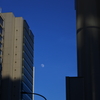 東京散歩　高架下から見上げる月