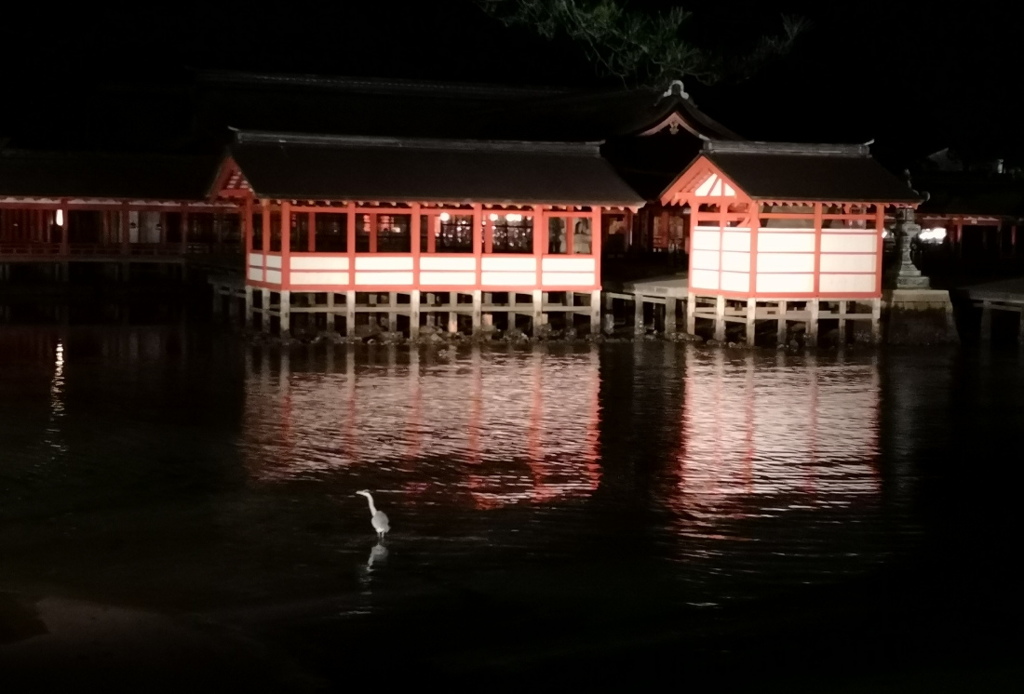 鷺と夜の厳島神社