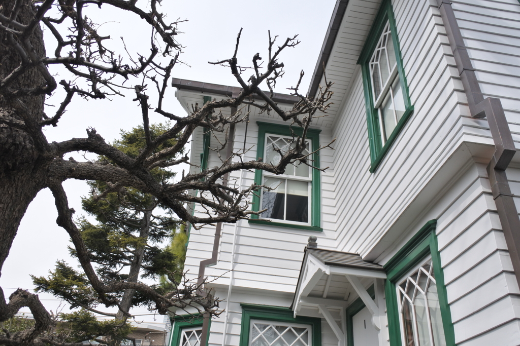 都電に乗って～セイヨウナシと旧宣教師館