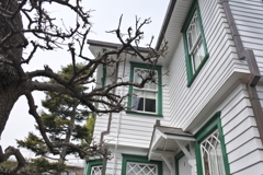 都電に乗って～セイヨウナシと旧宣教師館