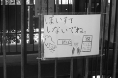 可愛いポスター