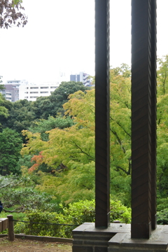 東屋から