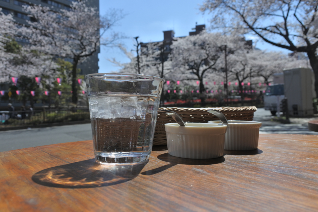 播磨坂でランチ