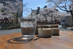 播磨坂でランチ