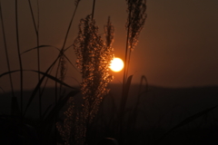 新栄の丘の夕日