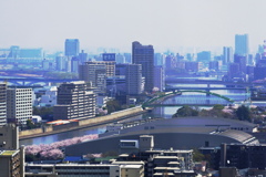 北とぴあから隅田川を望む