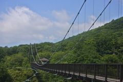 つつじ吊り橋